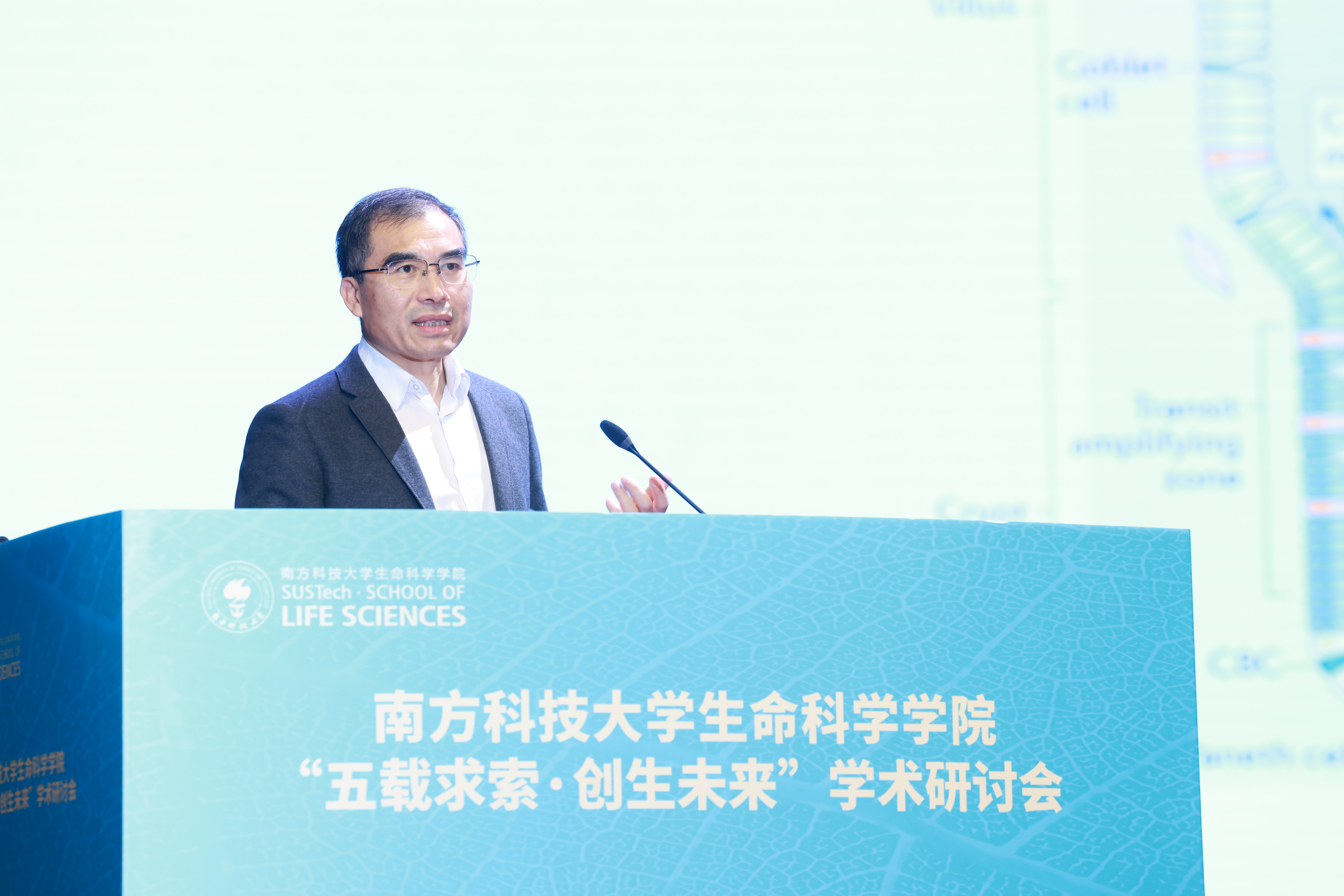 1765422050979231.jpg 1765422050979231.jpg