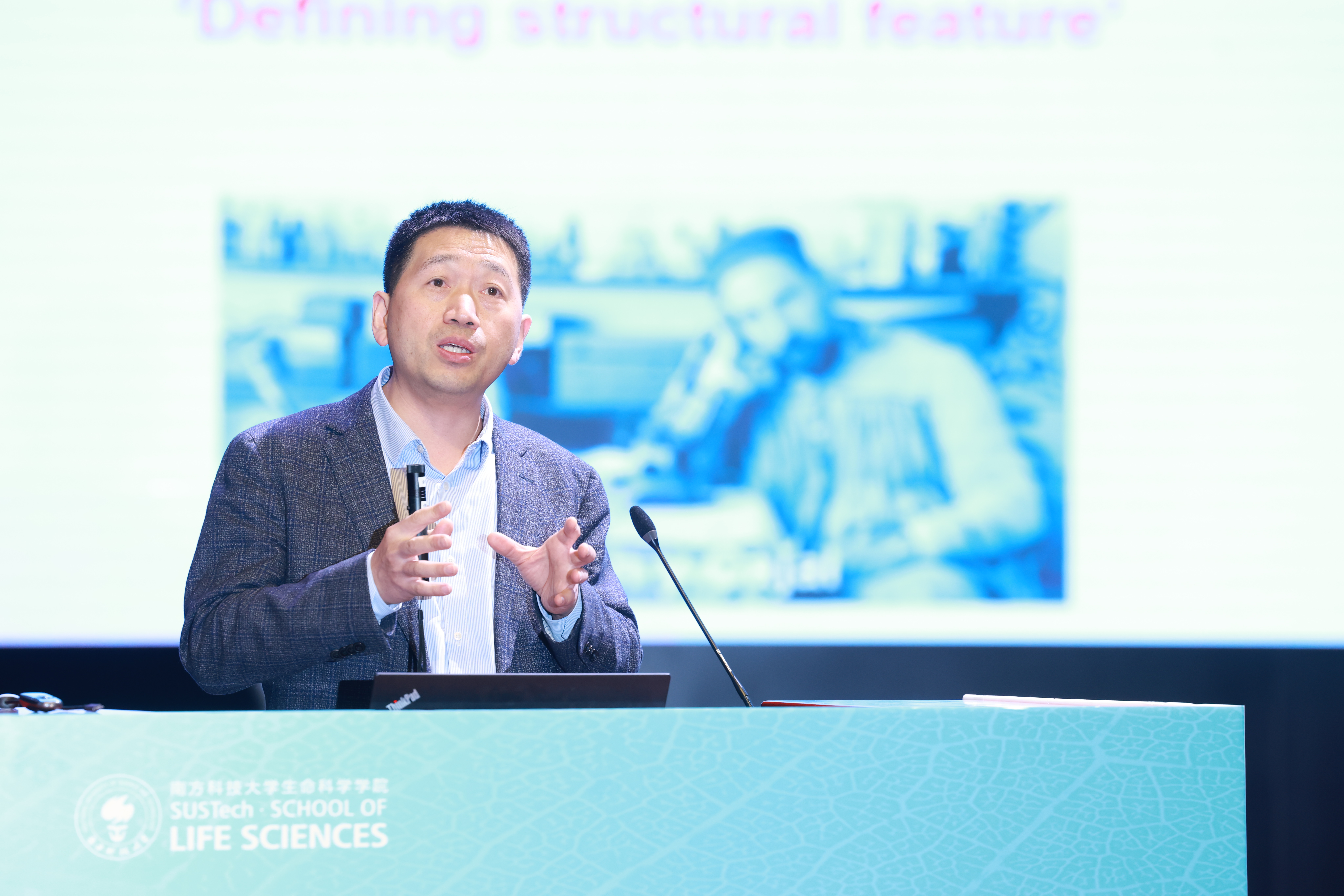 1765422058572925.jpg 1765422058572925.jpg