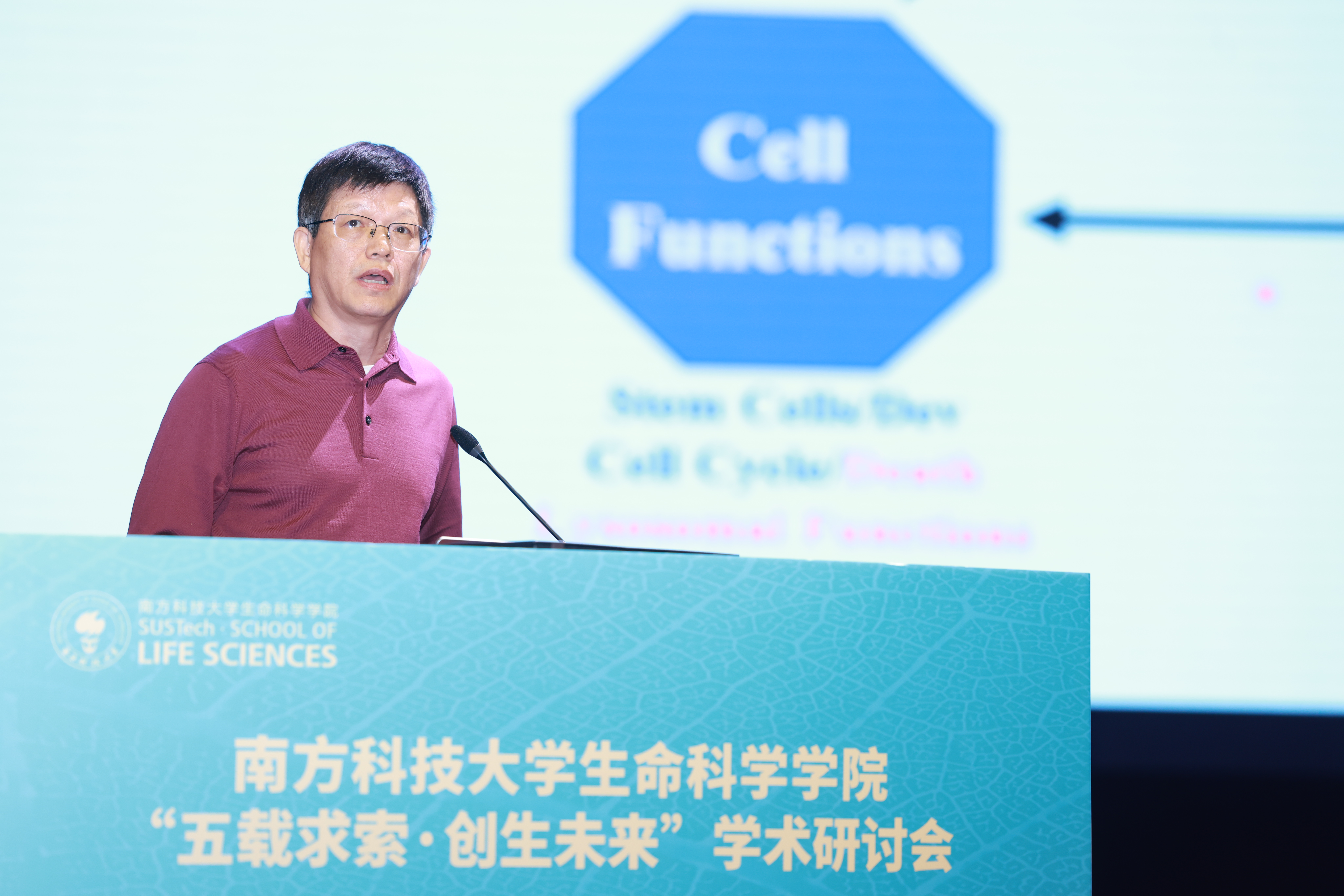 1765422071288226.jpg 1765422071288226.jpg