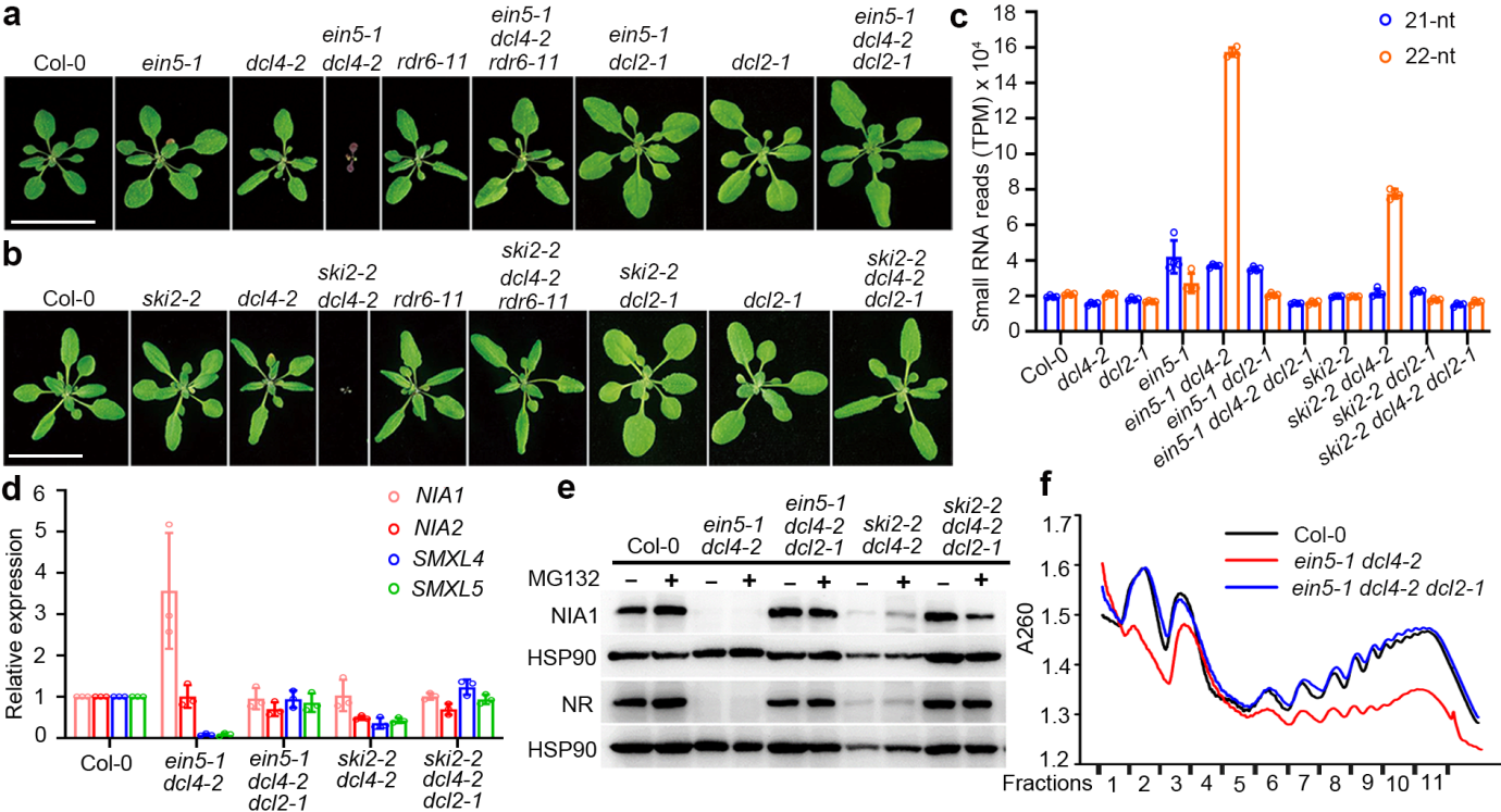 1772159654707915.png 1772159654707915.png