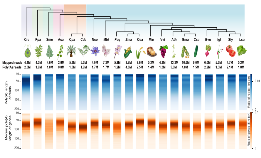 1774857699113208.png 1774857699113208.png