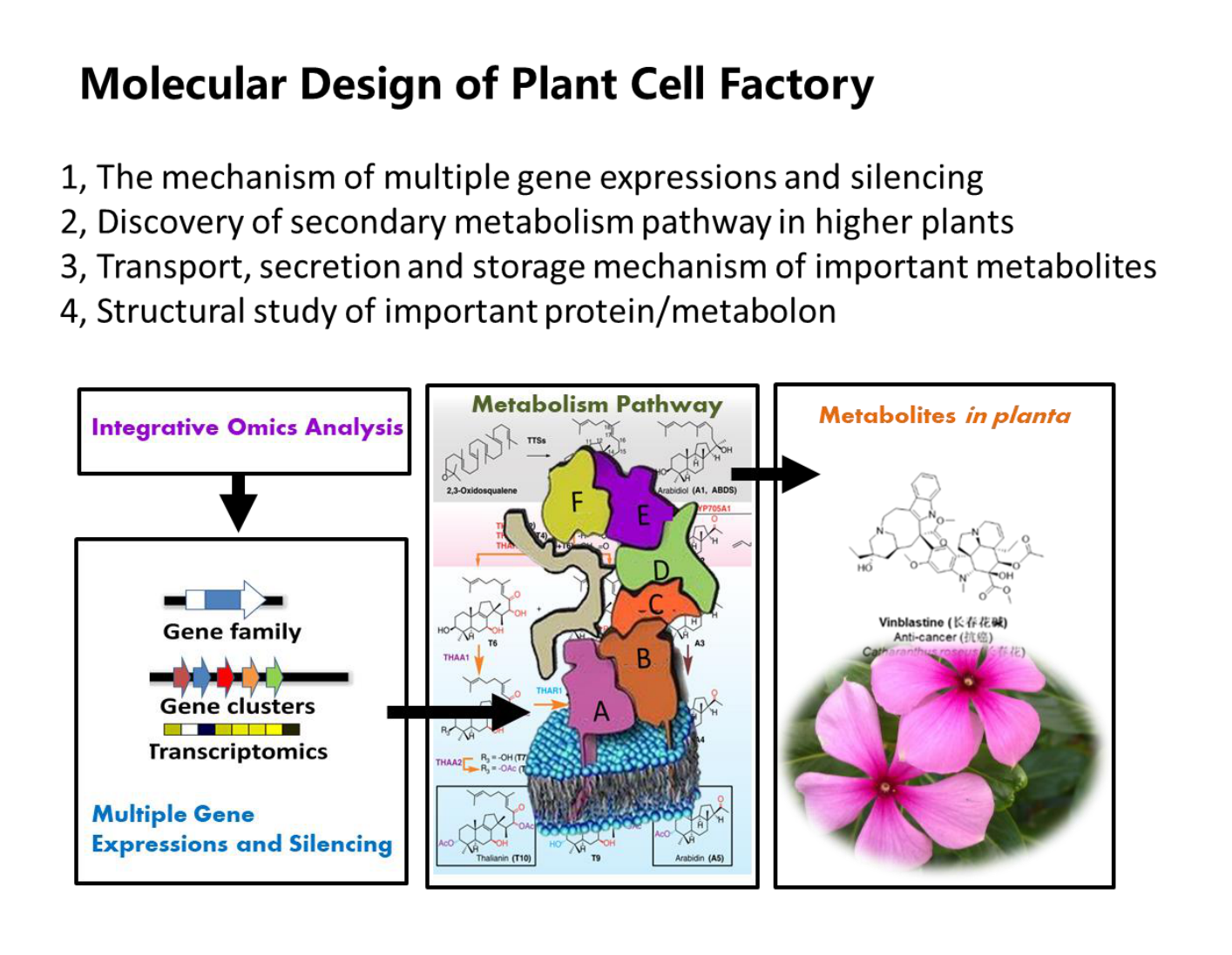 生物系系植物细胞工厂分子设计省级重点实验室获批 南方科技大学生命科学学院